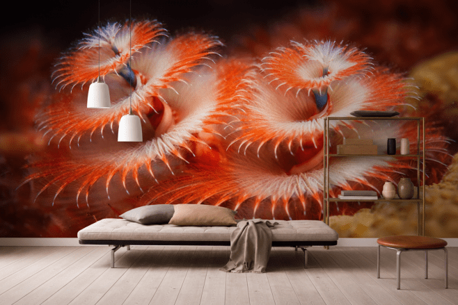 Spiral Flame