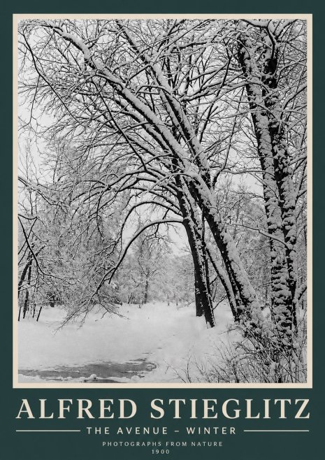 Alfred Stieglitz The Avenue – Winter No3 - Poster