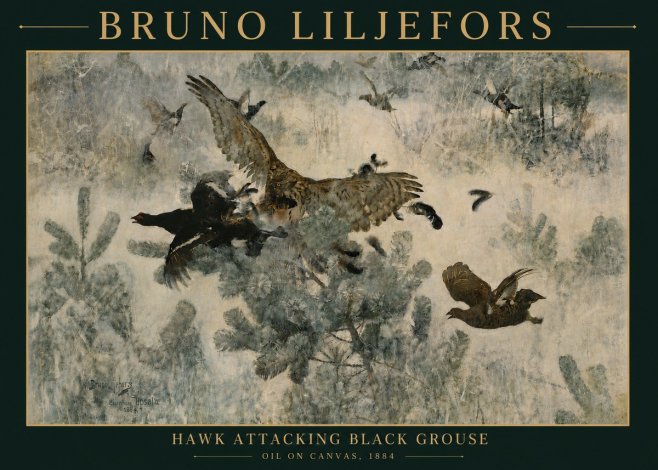Bruno Liljefors Hawk Attacking Black Grouse No4 - Poster