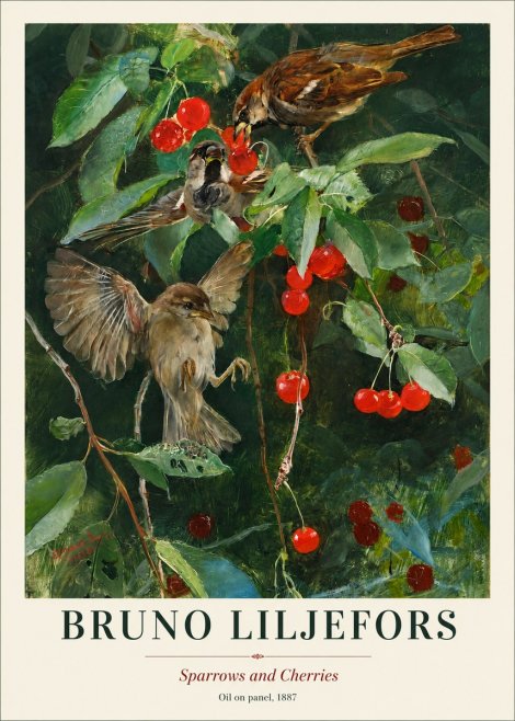 Bruno Liljefors Sparrows and Cherries No1 - Poster