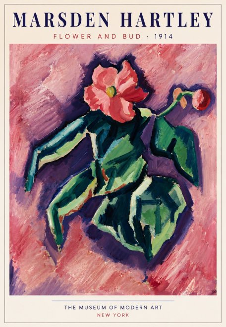 Marsden Hartley Flower and Bud No5 - Poster
