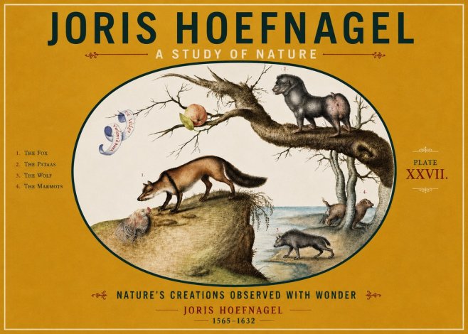 Joris Hoefnagel A Study of Nature - Plate Xxvii No4 - Poster