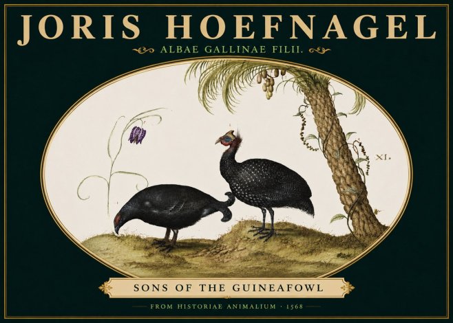 Joris Hoefnagel Albae Gallinae Filii. No5 - Poster