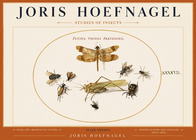 Joris Hoefnagel Flying Things Preceding. No3 - Poster