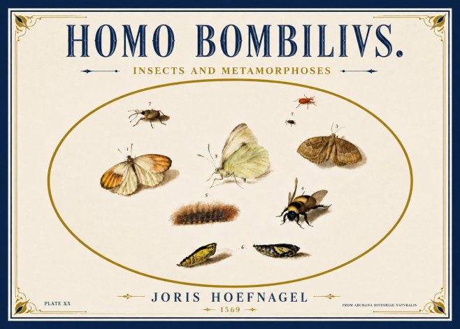 Joris Hoefnagel Homo Bombilivs. Insecta Et Metamorphoses No6 - Poster