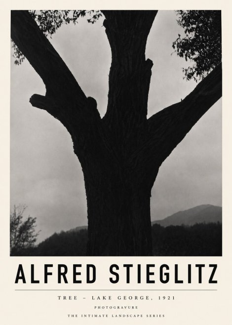 Alfred Stieglitz Tree - Lake George, 1921 No3 - Poster