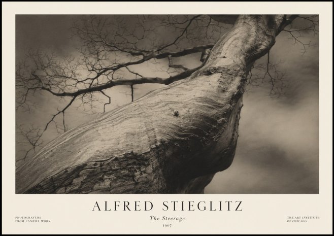 Alfred Stieglitz The Steerage I No1 - Poster