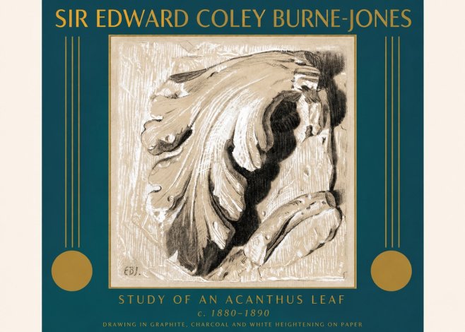Edward Burne-Jones Study of an Acanthus Leaf No3 - Poster