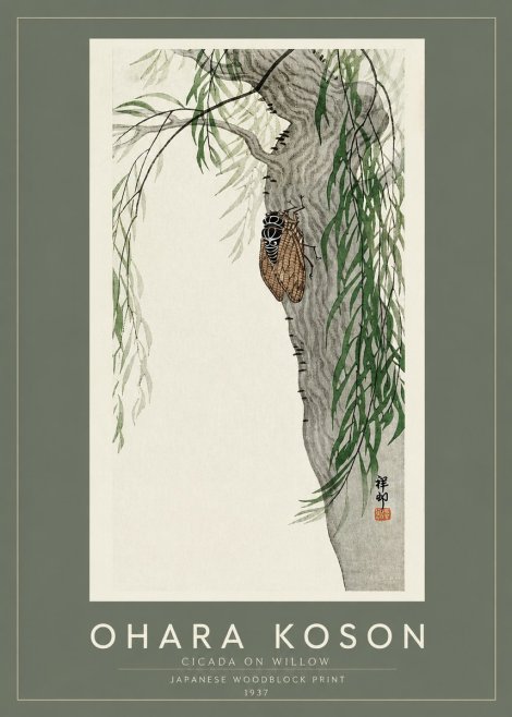 Ohara Koson Cicada on Willow No2 - Poster