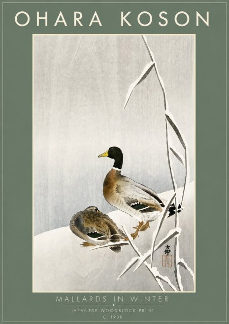 Ohara Koson Mallards in Winter No6 - Poster