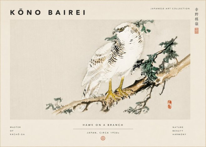 Kōno Bairei Hawk on a Branch No6 - Poster