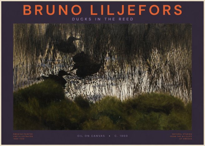Bruno Liljefors Ducks in the Reed No2 - Poster