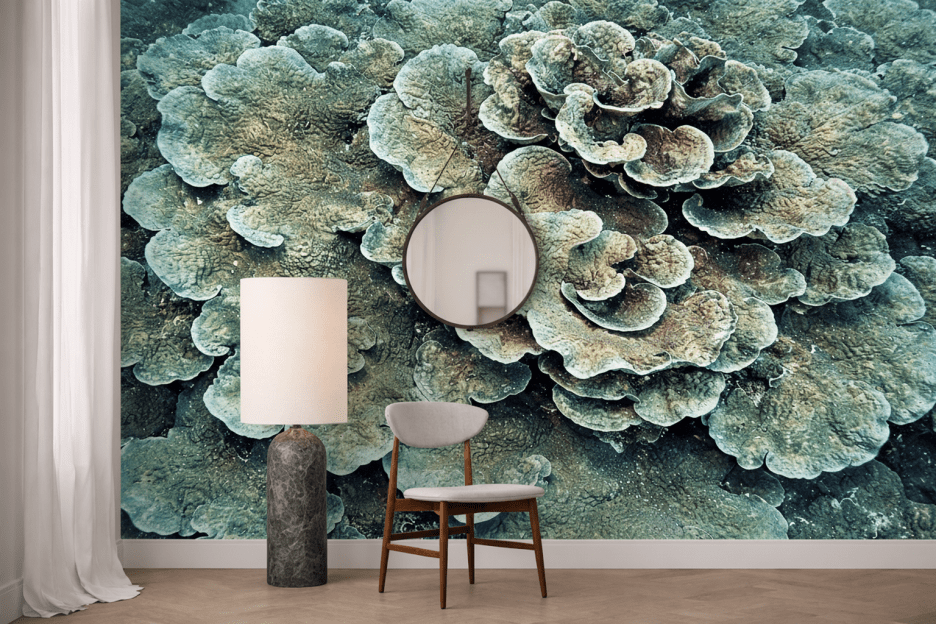 Coral Fusion