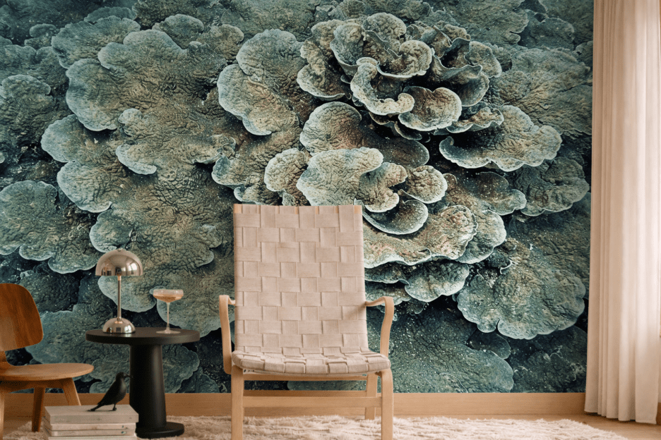 Coral Fusion