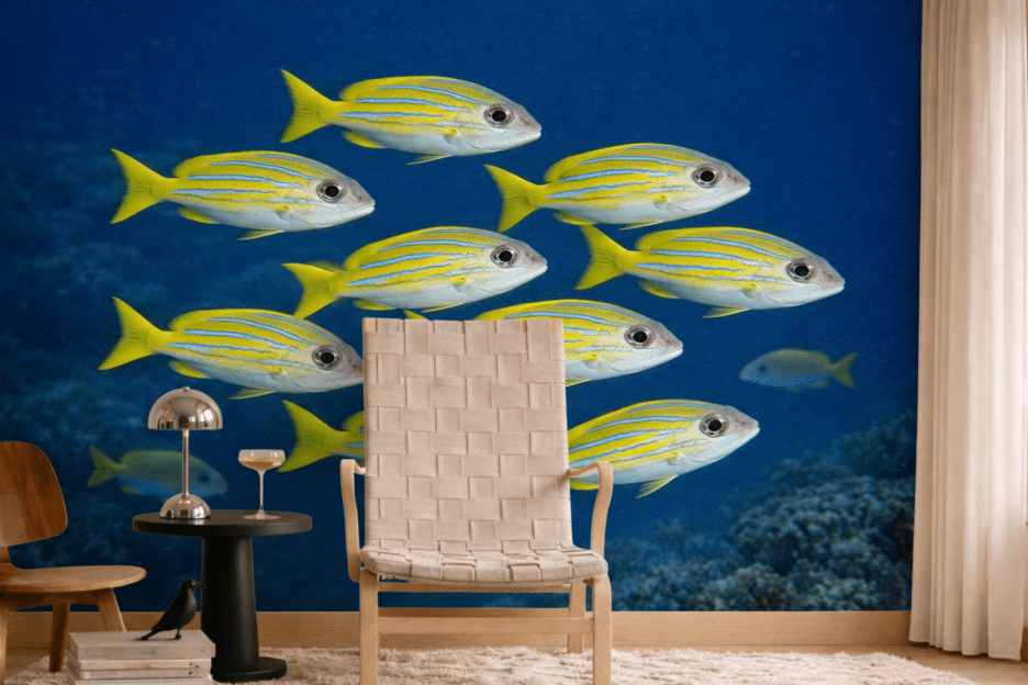 Tidal Schooling
