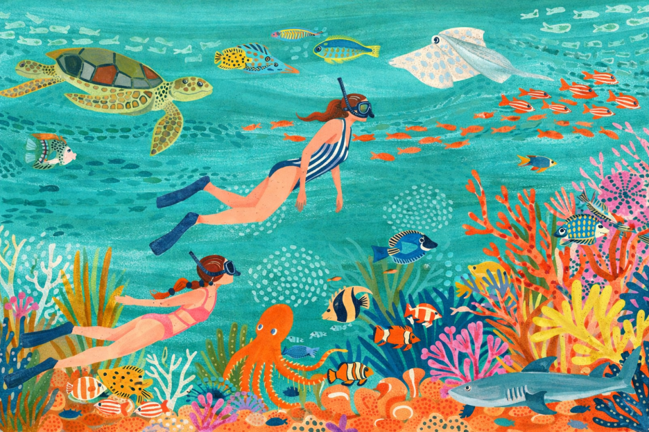Coral Reef Voyage