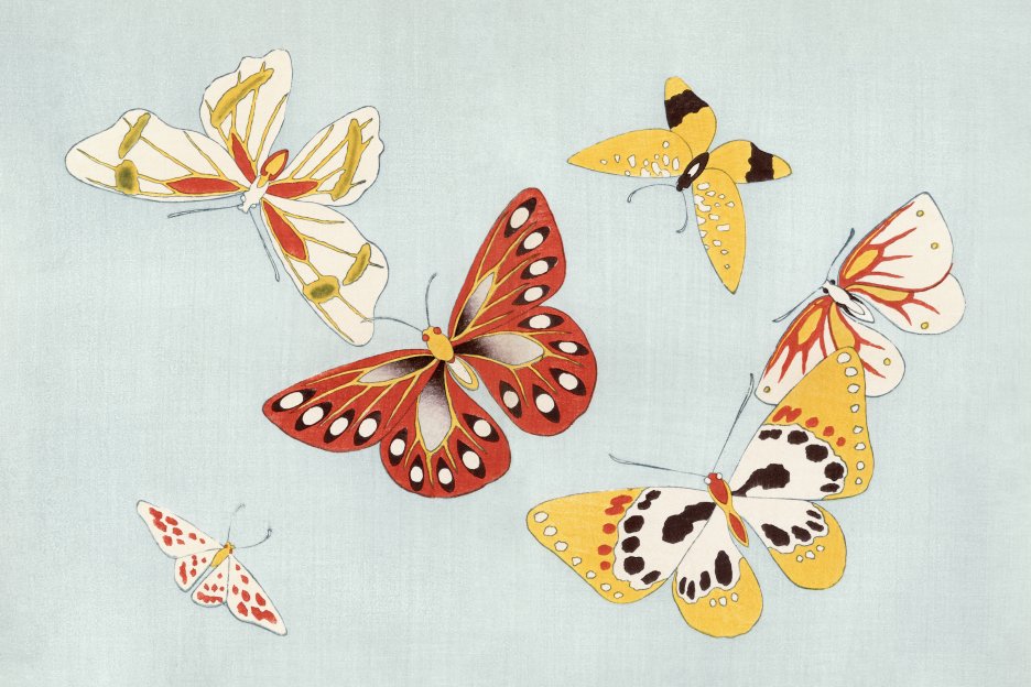 Vivacious Flutter