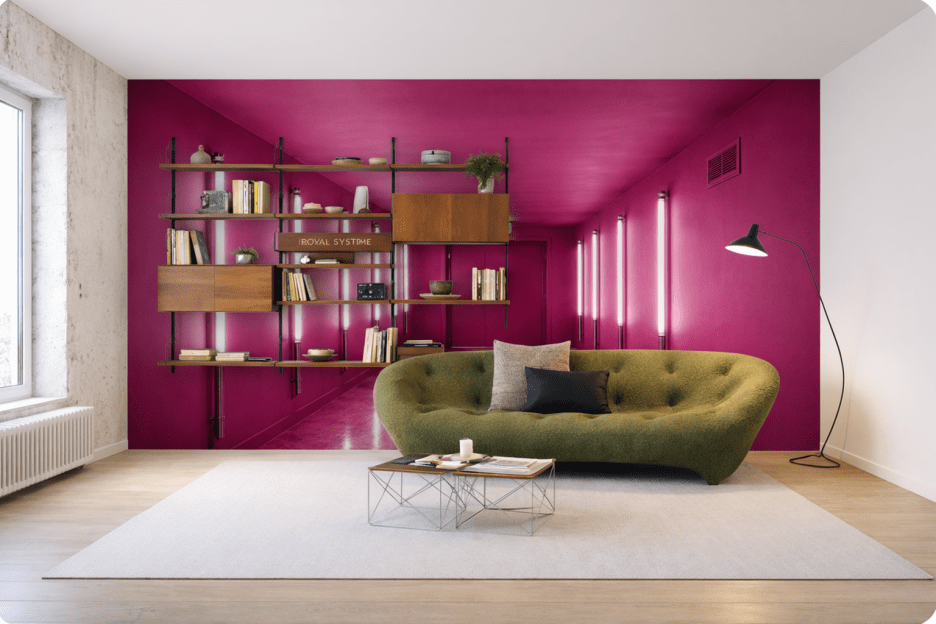Fuchsia Reverie