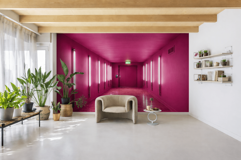 Fuchsia Reverie