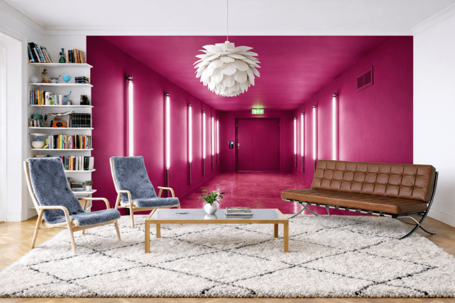 Fuchsia Reverie