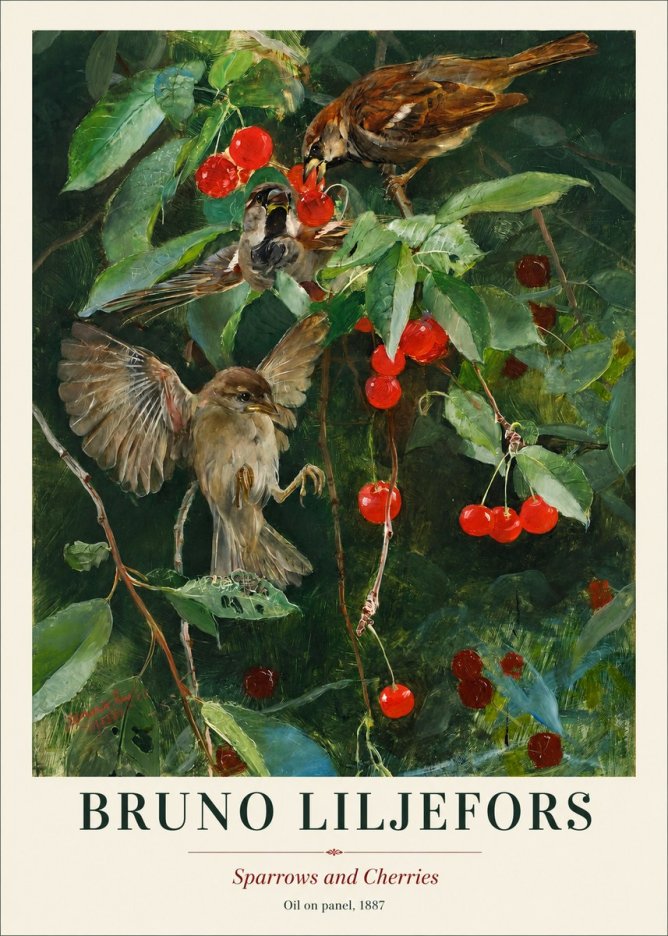 Bruno Liljefors Sparrows and Cherries No1 - Poster