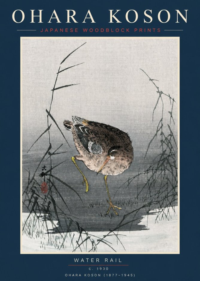 Ohara Koson Water Rail No2 - Poster