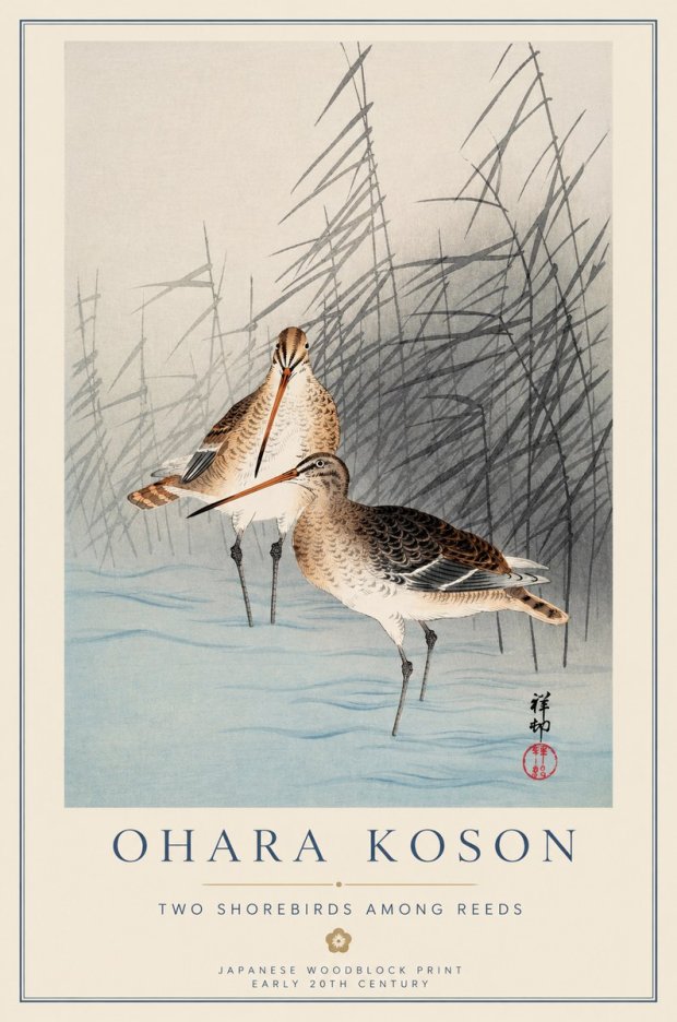 Ohara Koson Snipe in the Reeds No2 - Poster