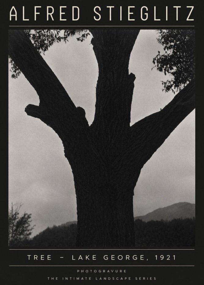 Alfred Stieglitz Tree - Lake George, 1921 No4 - Poster