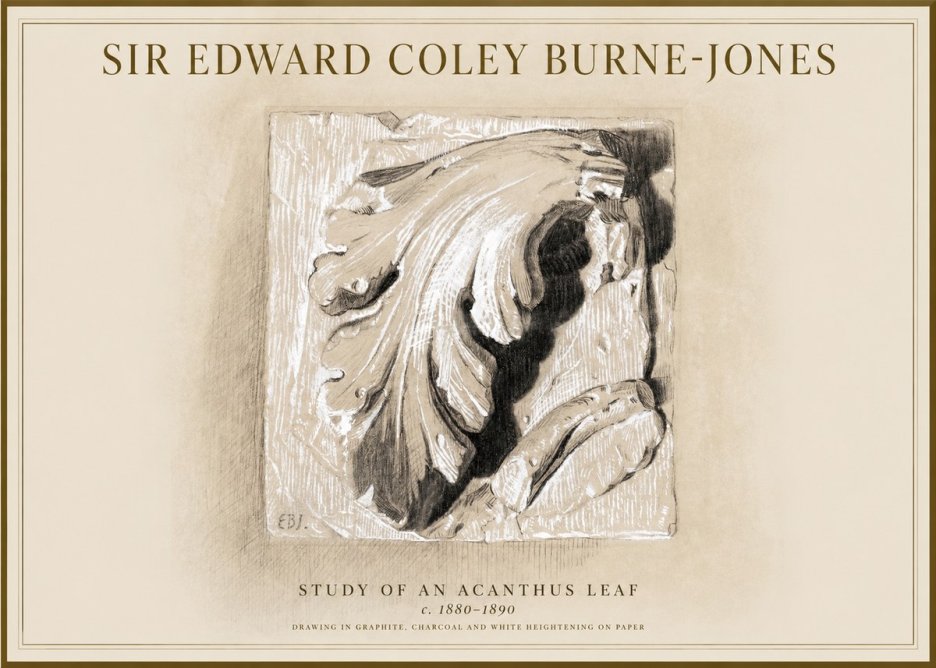 Edward Burne-Jones Study of an Acanthus Leaf No1 - Poster
