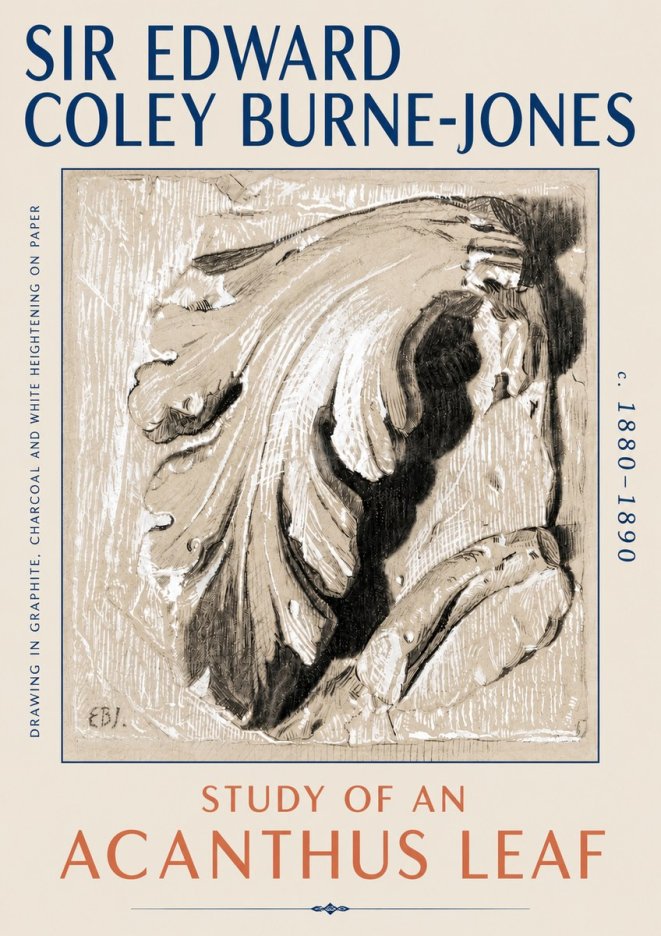 Edward Burne-Jones Study of an Acanthus Leaf No6 - Poster