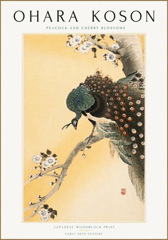 Ohara Koson Peacock and Cherry Blossoms No5 - Poster