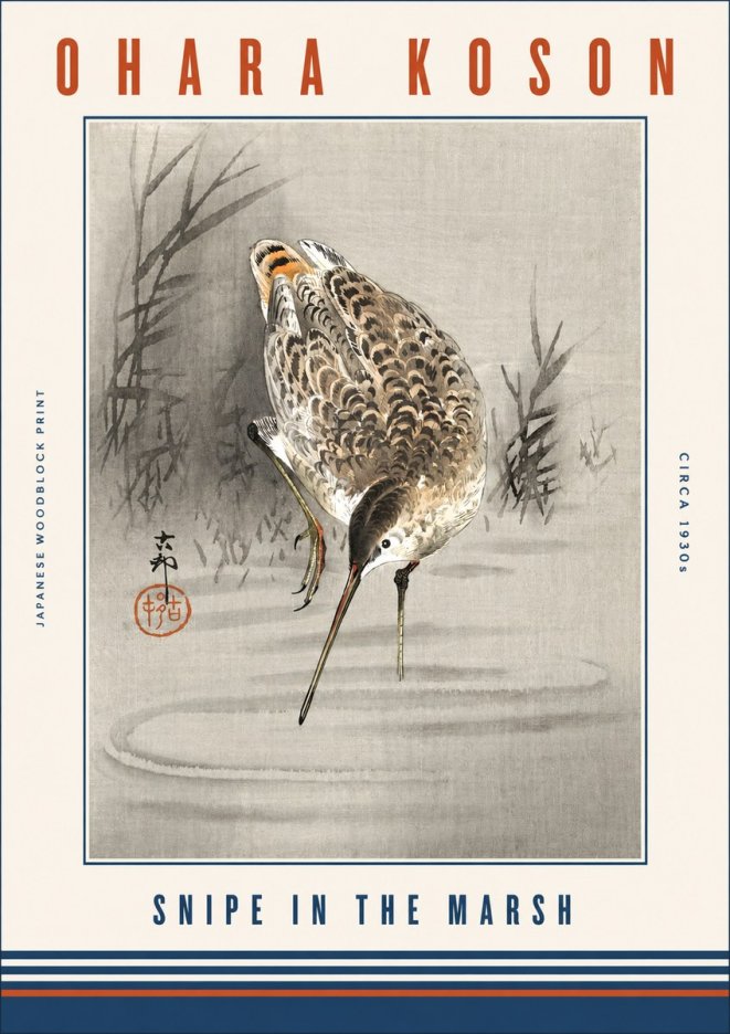 Ohara Koson Snipe in the Marsh No3 - Poster