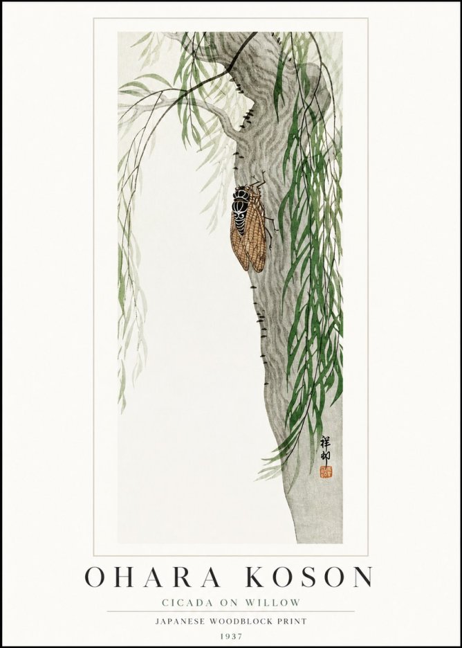 Ohara Koson Cicada on Willow No1 - Poster