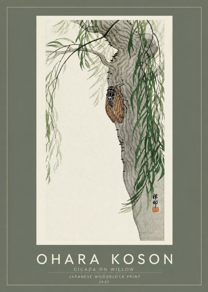Ohara Koson Cicada on Willow No2 - Poster