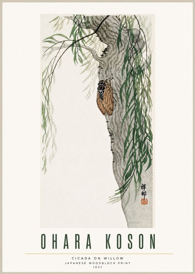 Ohara Koson Cicada on Willow No3 - Poster