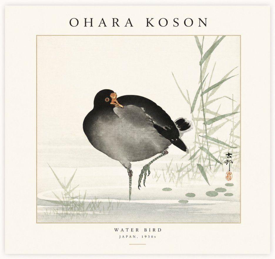 Ohara Koson Water Bird No1 - Poster