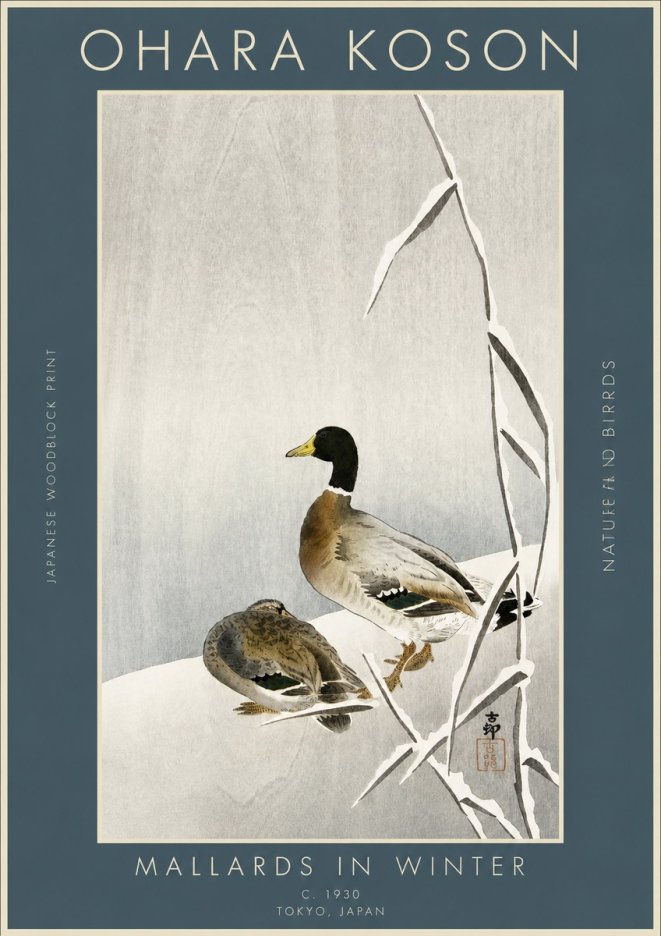 Ohara Koson Mallards in Winter No3 - Poster