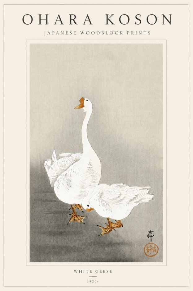 Ohara Koson White Geese No5 - Poster