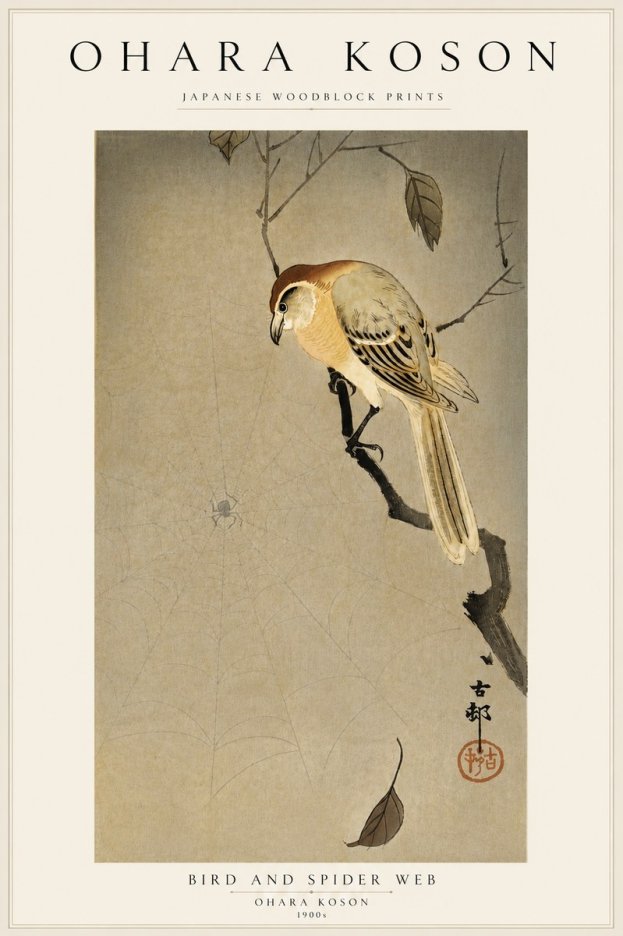Ohara Koson Bird and Spider Web I No5 - Poster