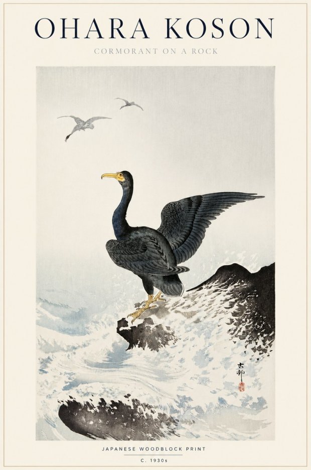 Ohara Koson Cormorant on a Rock No3 - Poster