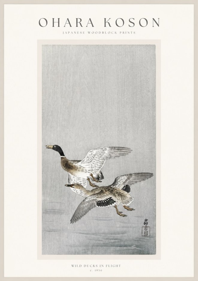 Ohara Koson Wild Ducks in Flight No1 - Poster