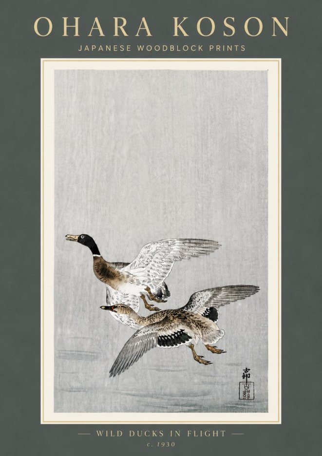 Ohara Koson Wild Ducks in Flight No6 - Poster