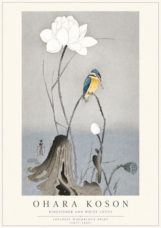 Ohara Koson Kingfisher and White Lotus No3 - Poster