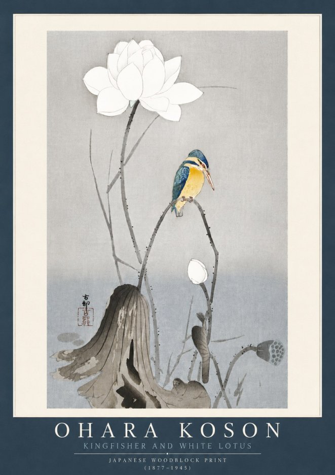 Ohara Koson Kingfisher and White Lotus No4 - Poster