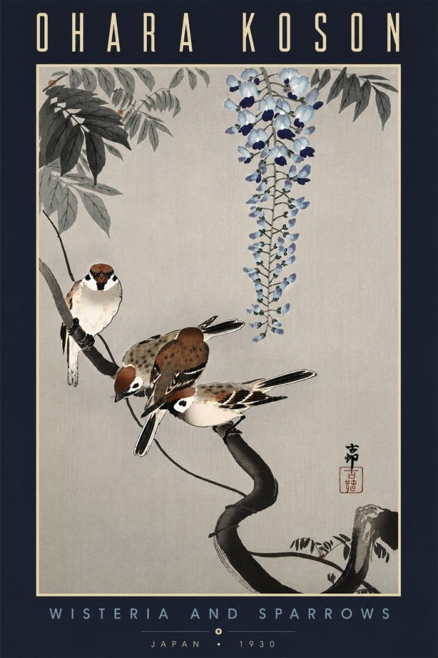 Ohara Koson Wisteria and Sparrows No6 - Poster