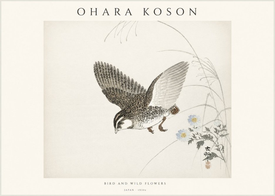 Ohara Koson Bird and Wild Flowers No1 - Poster