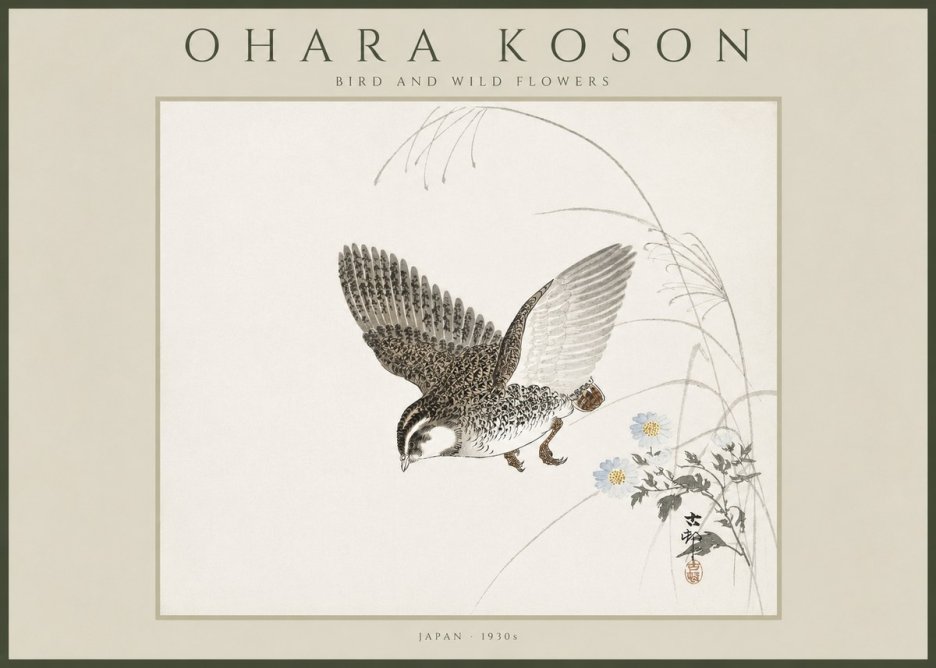 Ohara Koson Bird and Wild Flowers No4 - Poster