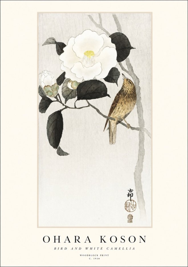 Ohara Koson Bird and White Camellia No1 - Poster