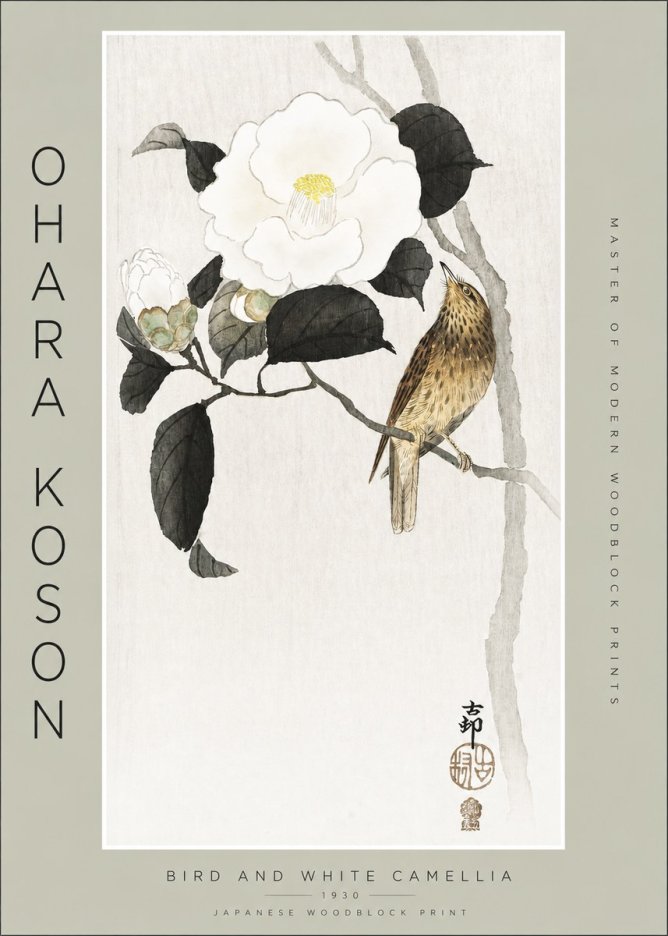 Ohara Koson Bird and White Camellia No2 - Poster