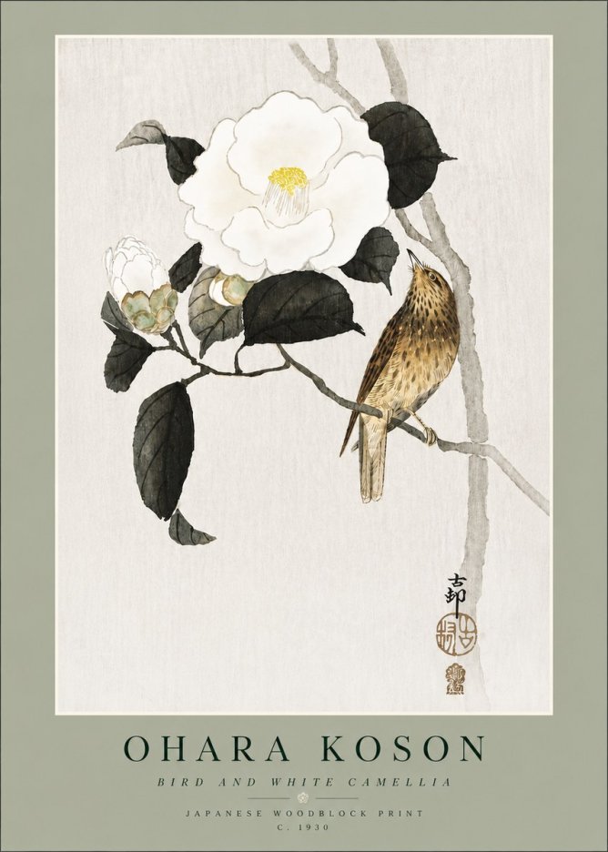 Ohara Koson Bird and White Camellia No4 - Poster